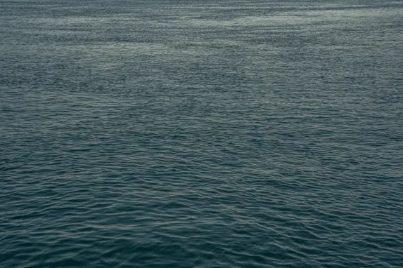 Casino Jackpot Molly Ondersteuning